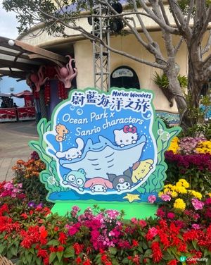 海洋公園Sanrio體驗