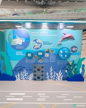 機場發展與自然共存故事🌊✈️