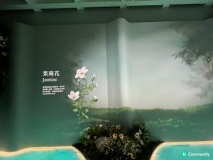 夏日藝術觀賞