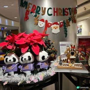 聖誕正日buffet staycation package