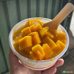 南山白汁冰🥭🧊