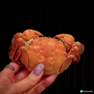 金秋第一蟹@帝京軒