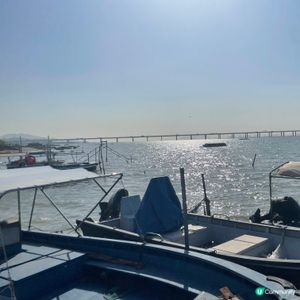 週末寧靜休閒的地方-流浮山