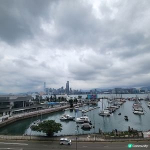 打卡 