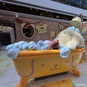 香港/布甸狗30周年展覽限定開放🐶