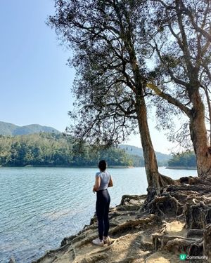 荃灣城門水塘打卡之旅 🏞️