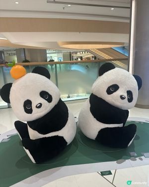 The Southside 金色不如㷌