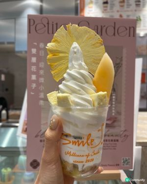 Smile Yogurt 睇得又食得嘅乳酪雪糕