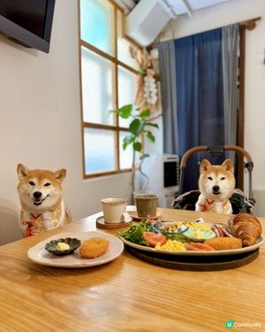 / 帶毛孩吃日式料理 \