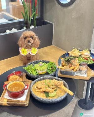 熱到爆！帶毛孩嘆冷氣美食 🐶🥭🦀