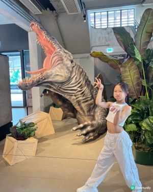 南豐紗廠又有活動啦🥳