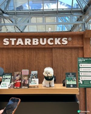 太古城Starbucks展～有狗狗Barista? 
