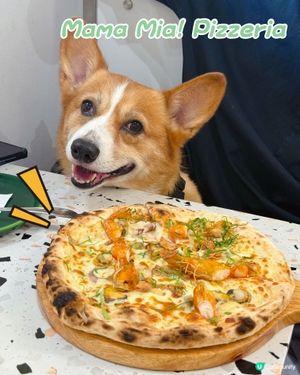 避風塘薄餅🍕+意粉🍝！九龍城意大利小店🤤