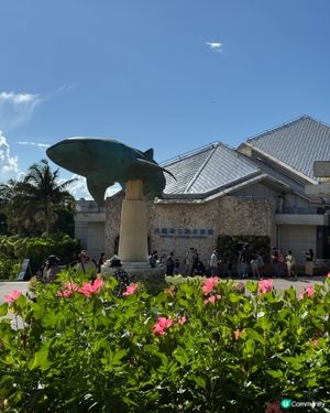【沖繩美麗海水族館】✨🐳🐋🪼