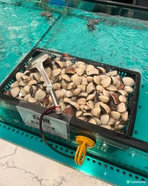 海鮮放題新體驗！🦀任撈任食無限量供應🤤