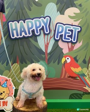 第一次帶狗狗到合和商場