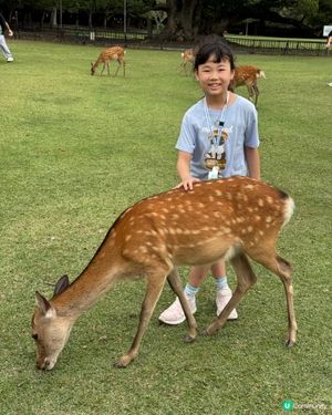 奈良一日遊之🦌🏯 文化古都