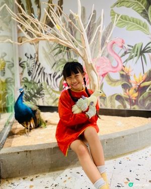 Lollypet寵萌樂園 假日親子遊