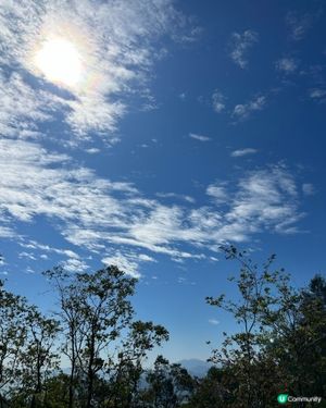 👣四小時行山樂 - 元荃古道👣