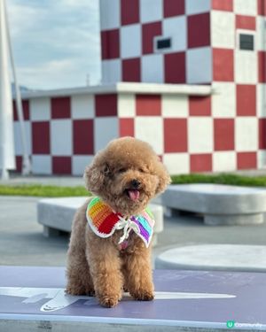 親子好去處，影相打卡一流