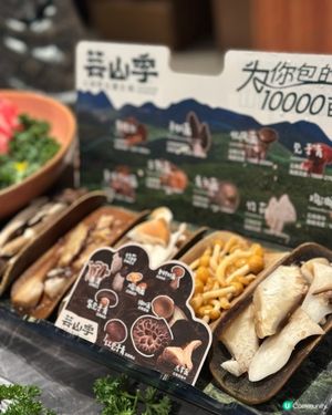 野生菌養生鍋.深圳皇廷廣場