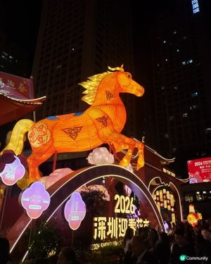 深圳福田年宵花市