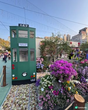 春日賞花🌹🌷