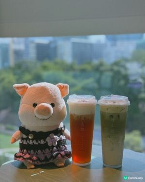 漫山語登陸尖沙咀☕️ 歎住茶睇書一流！