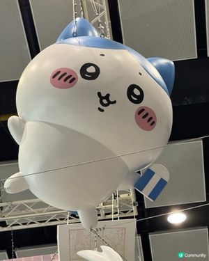 小八