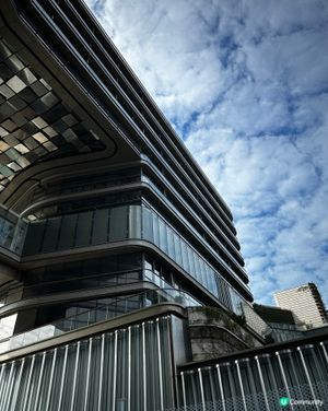 在寒風中不飄是實用的匹克球🏸🥳