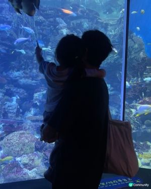 帶2歲小朋友去海洋公園