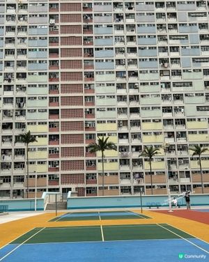 牛池灣村新龍城茶樓飲早茶。再去彩虹邨打卡