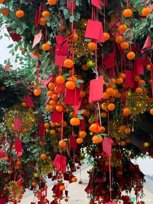 林村許願節🧧🧧🍊🍊🍊