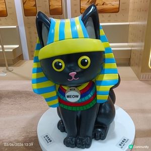法老貓😺