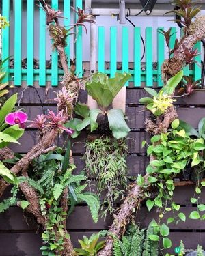 動植物公園，打卡天堂！🐒🌿
