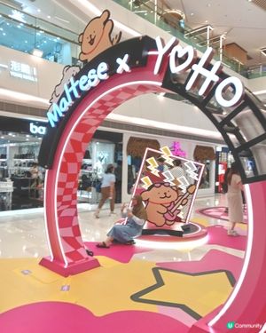 Mahee x Yoho 商場寵物風佈景
