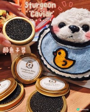 Foca - 尋鱘魚子🪸 - 御滿屋