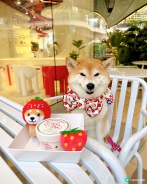 雪糕 x Churros🤍