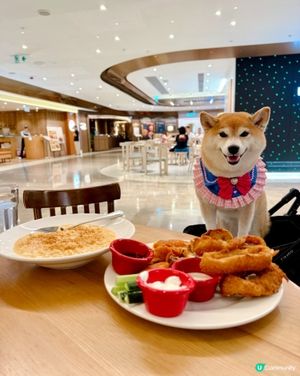 🥓🧀帶毛孩食美式肥仔餐🍟🍖