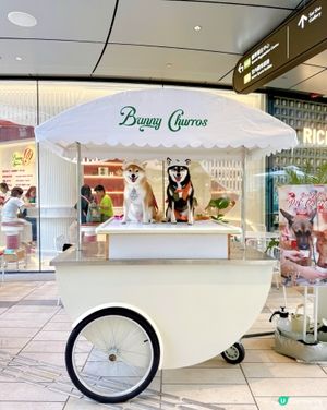 / 帶毛孩食雪糕 \