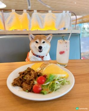 / 帶毛孩食小清新韓式料理 \