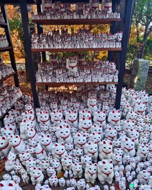 過1000隻招福貓等你來