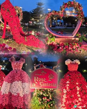 盛夏玫瑰奇緣園藝
