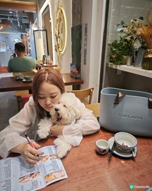 蠢蠢陪媽咪揀點心🤭🤭
古靈精怪小蠢樣🐶(*˙˘˙*)