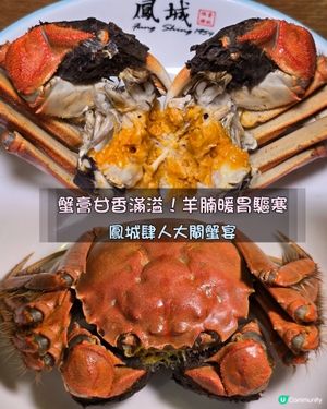 大閘蟹宴開鑼🦀！爆膏滋味😋！