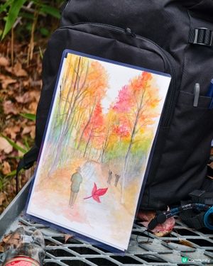 12月8 日🍂🍁大棠紅葉實況