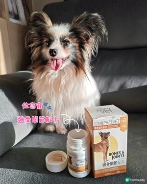 #Butter公主 好物推介👉位您寵強健關節配方🐕
