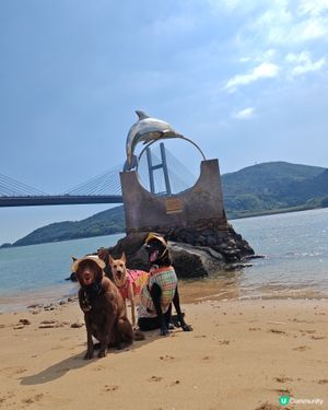 馬灣慢活遊☀️