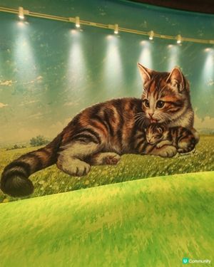 貓奴必去！17樓貓貓空中花園🐱