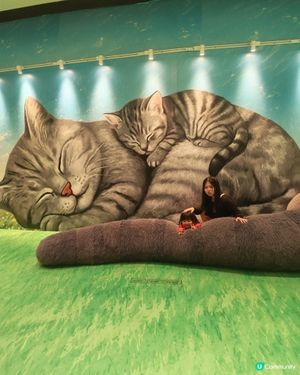 親子必去九龍灣貓貓展！🐱